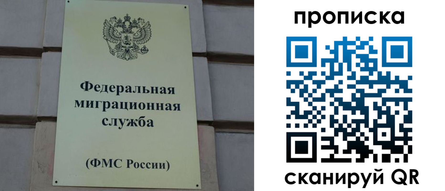 прописка поиск в Нижнем Новгороде